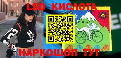 прущие крисы Донской