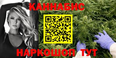 прущие крисы Донской