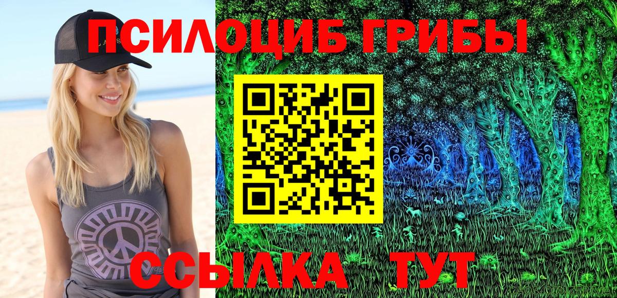 Надым  Псилоцибиновые грибы Magic Shrooms  закладка  Галлюциногенные грибы GOLDEN TEACHER  Вход с VPN 